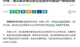 网易爆料最新信息,最新行业动态及热点事件深度解析