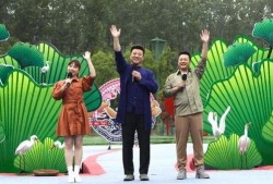 曹西平最新爆料新闻视频,揭秘事件背后惊人内幕