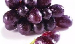 提子事件谁爆料的啊最新,揭秘爆料者身份与动机